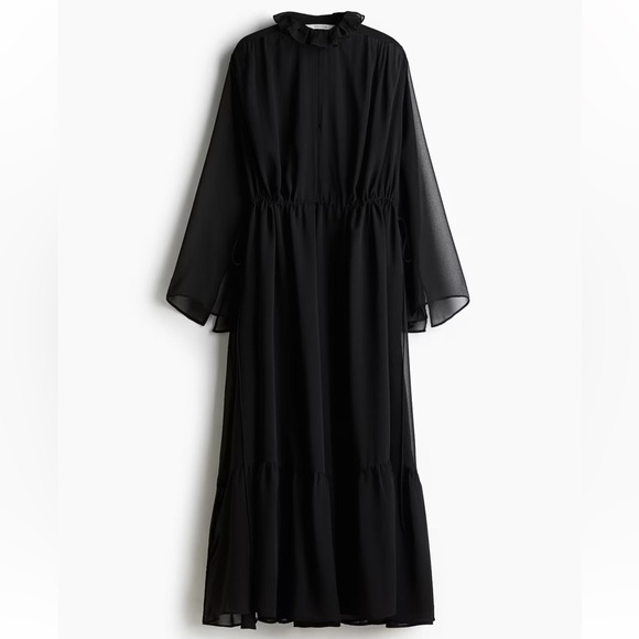 H&M Edition Sheer Maxi Dress - Picture 5 of 8